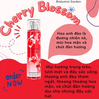 Xịt thơm Bodymist Bath & Body Works Cherry Blossom mùi hoa anh đào.