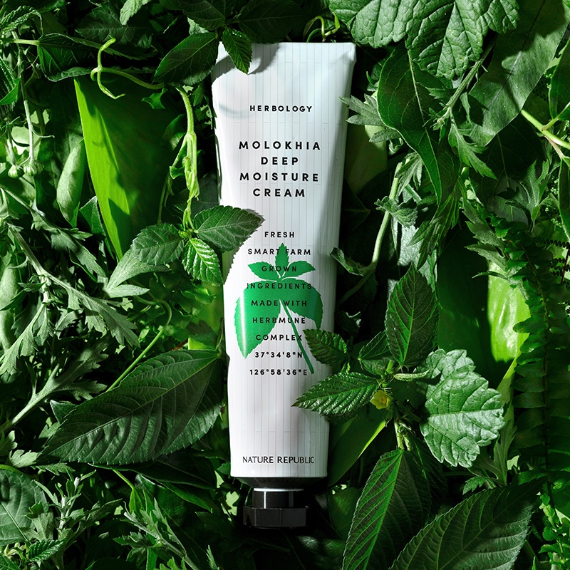Kem Thảo Dược Molokhia Dưỡng Ẩm Sâu 70Ml Nature Republic