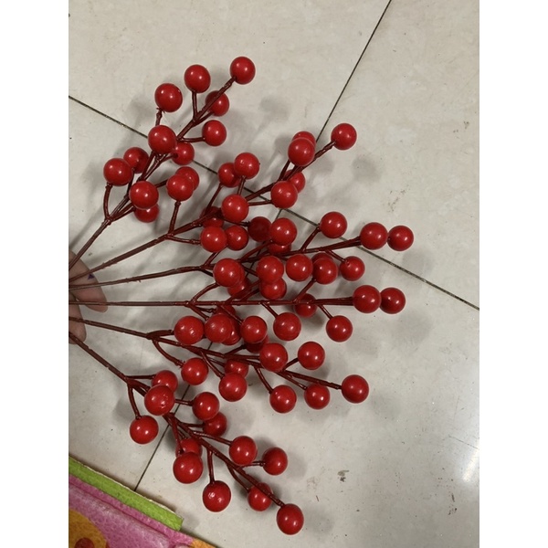 Nhánh đào đông nhỏ