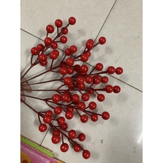 nhánh đào đông nhỏ