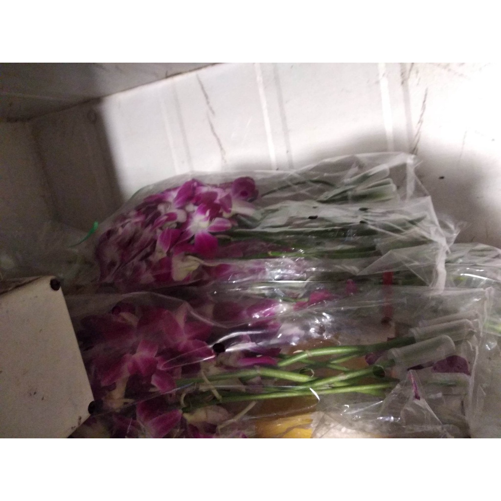 Hoa lan tươi decor trang trí đồ ăn uống