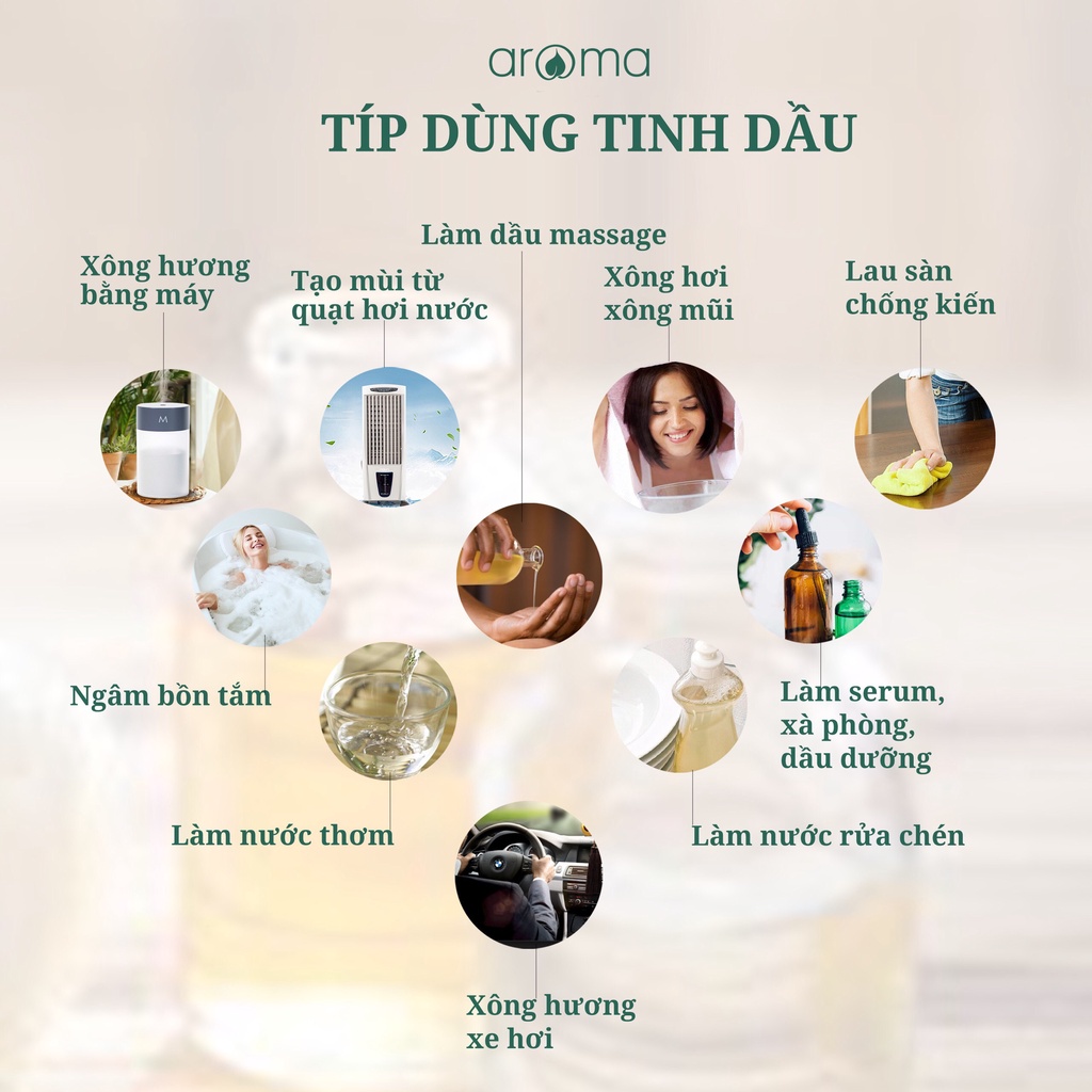 Aroma Que xốp hấp thụ nước với nhiều kích thước tuỳ chọn tiện dụng cho máy khuếch tán độ ẩm