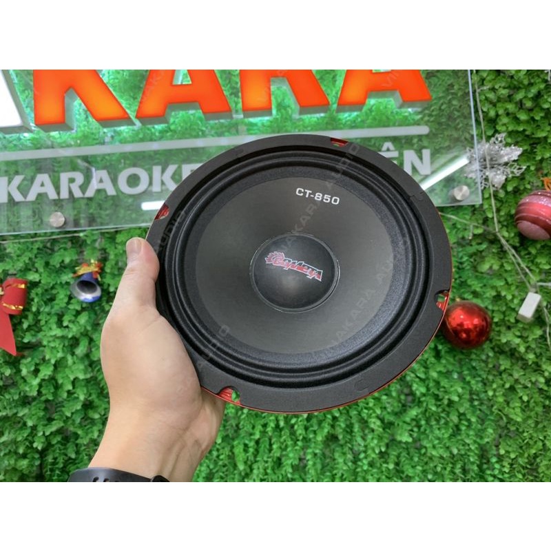 Củ Loa rời bass 20cm, 250w, 4 ôm, chuyên cho loa kéo, âm thanh hay nhập khẩu - sl 1 cái CT-850