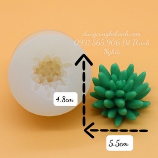 Khuôn Silicone Sen Đá Tia