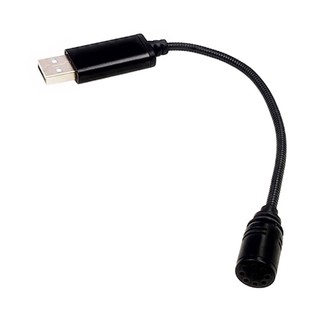 Micro USB Mini Thu Âm Dùng Cho Laptop / Notebook / PC / MSN / Skype