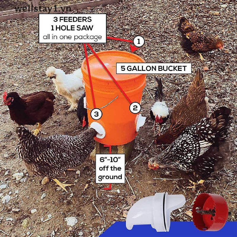 Máng ăn gắn xô cho gia cầm dạng mõm