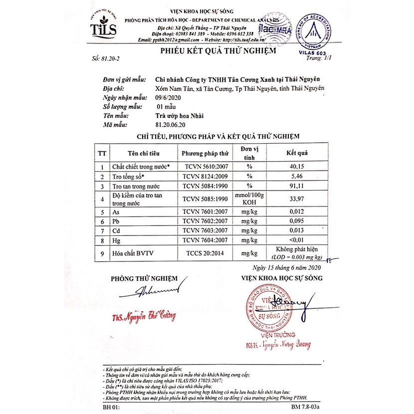 Trà Tân Cương Ướp Hoa Nhài - Trà Lài Tân Cương Thơm Ngon 100gr, 200gr, 500gr
