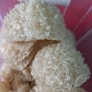 10g yến vụn tổ