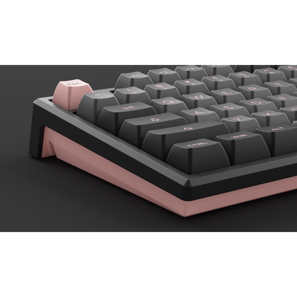 Bàn phím cơ AKKO MonsGeek MG108 Black Pink (RGB / AKKO sw v3) - Hàng Chính Hãng