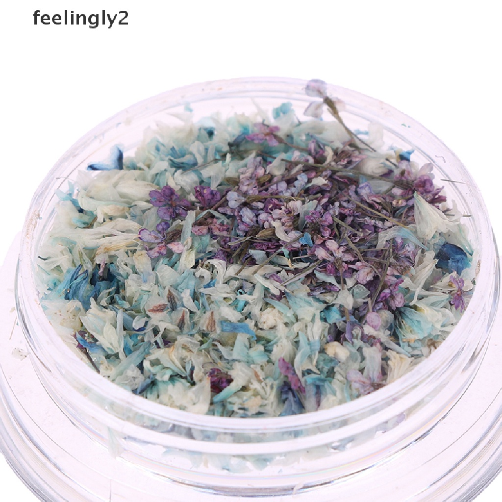 [Hàng Có Sẵn] Hộp Hoa Khô 3D Trang Trí Móng Tay Nghệ Thuật Tinh Tế DIY Tinh Tế