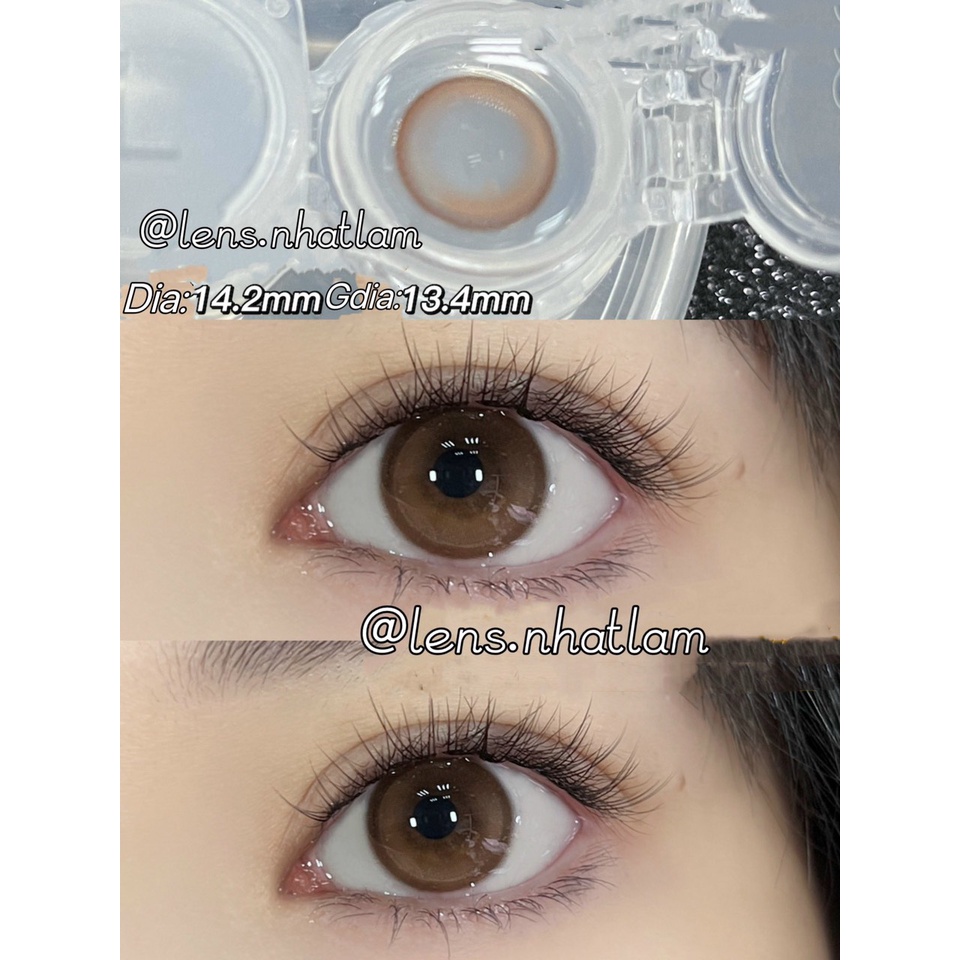 LENS 1 Ngày - Nâu SUTI mật ong sáng nhẹ nhàng trong trẻo