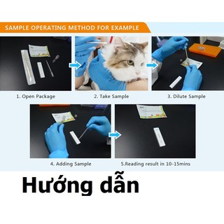 (Pravo CPV Care CDV bệnh chó  FPV cho mèo (1 que) Kit Test bệnh que thử bệnh trên chó mèo
