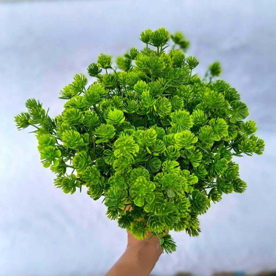 Cành hoa lá cỏ điểm thông 5 lá VI090 , hoa giả trang trí