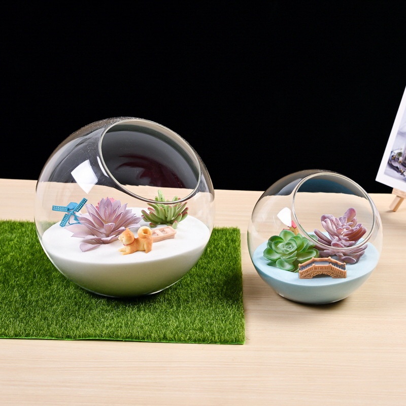 Chậu Kính Trồng Cây Mọng Nước 12cm