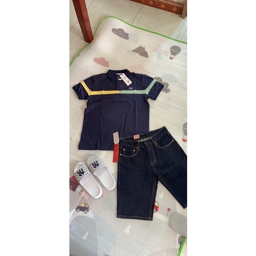 Áo polo cá sấu chính hãng từ 50-90kg