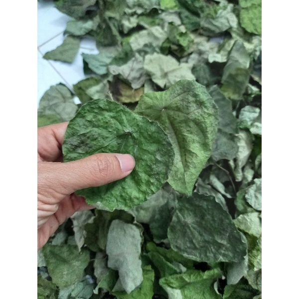 Lá sương sâm lông khô , 1kg , tặng nang mực, hút chân không