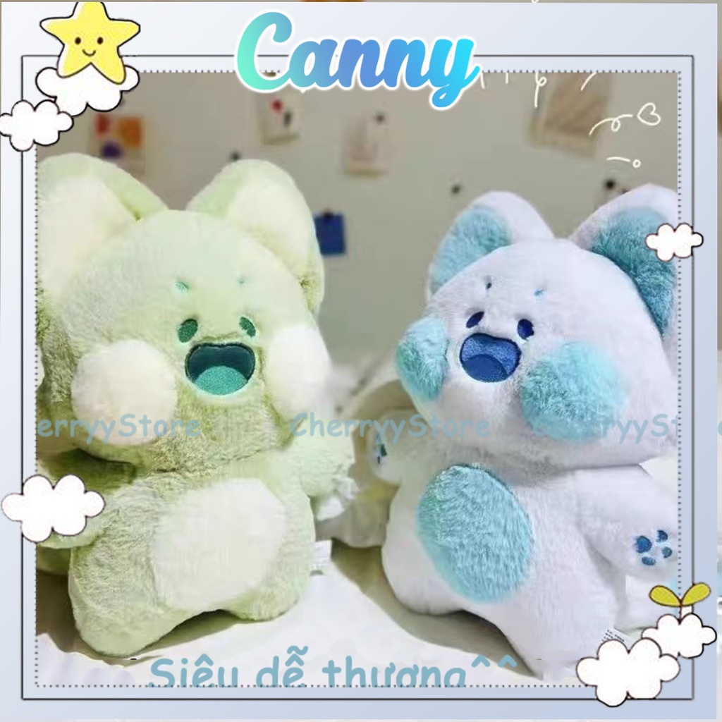 Gấu mèo dudu dễ thương Canny