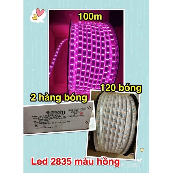 Dây Led 2 hàng bóng 2835 1 màu 1 cuộn 100m dán hắt trần thạch cao, trang trí cây.. ánh sáng vàng nắng, xanh lá…