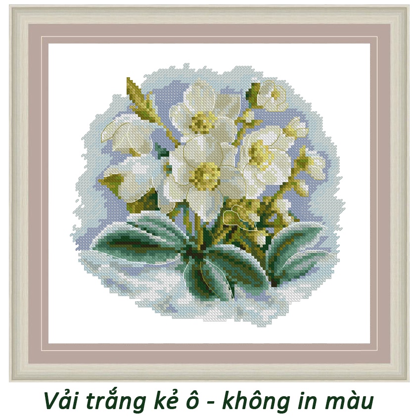 Bộ vật liệu tranh thêu chữ thập mẫu hoa lan 3001 - Vải trắng không in Aida 11ct 25 x 24 cm