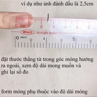 Nail Box Đen Nhũ Nơ