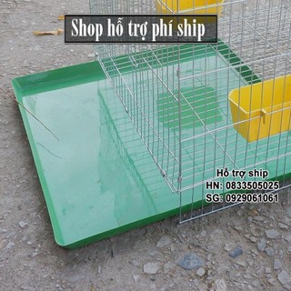 Hỗ trợ Ship-  -Khay vệ sinh cho chim cảnh (khay nhựa màu xanh) - khay hứng kít lồng chim, lồng chó mèo ( 50x50cm) - Dùng