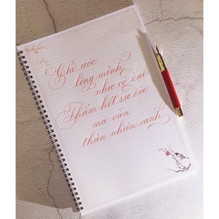 Sổ luyện chữ đẹp calligraphy