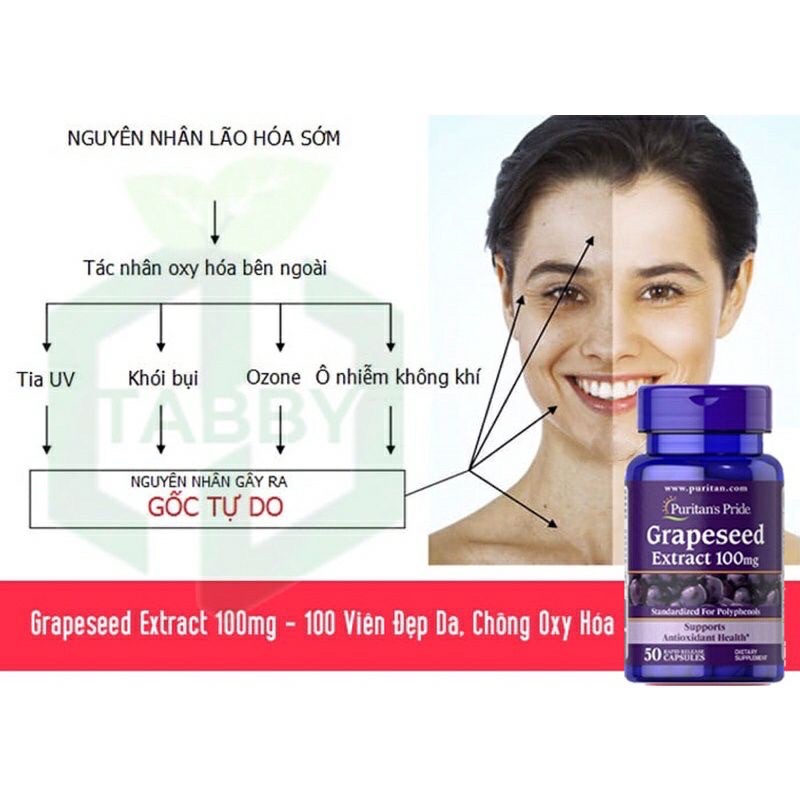 Viên uống đẹp da, chống lão hoá Grapeseed Extract 100mg