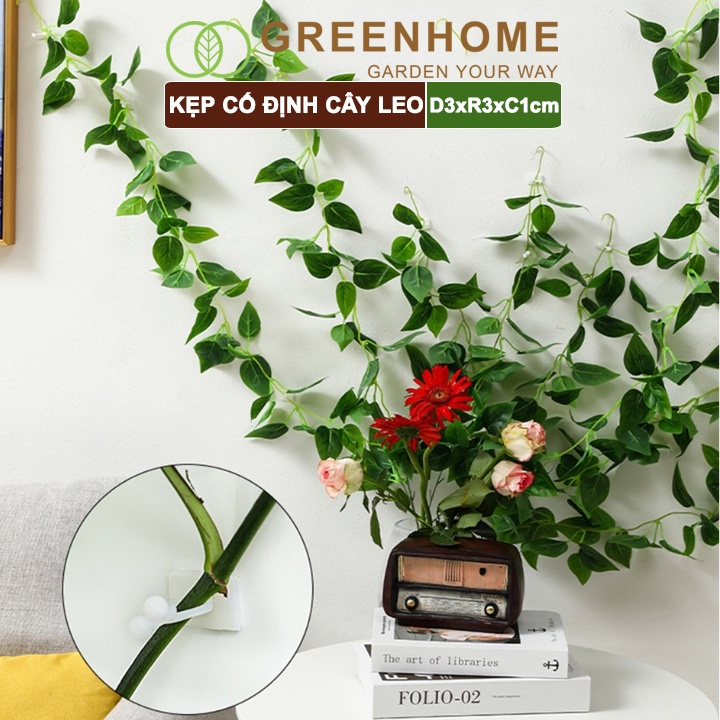 10 Kẹp cố định cây dây leo Greenhome, D3xR3cm, gắn tường tiện lợi, dễ dàng lắp đặt, tiết kiệm không gian