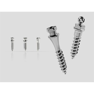 [Chính hãng] Vis Cổ Láng Jiscop (Vis Special Mini Screw (For Ramus & IZC Space))_Hàn Quốc