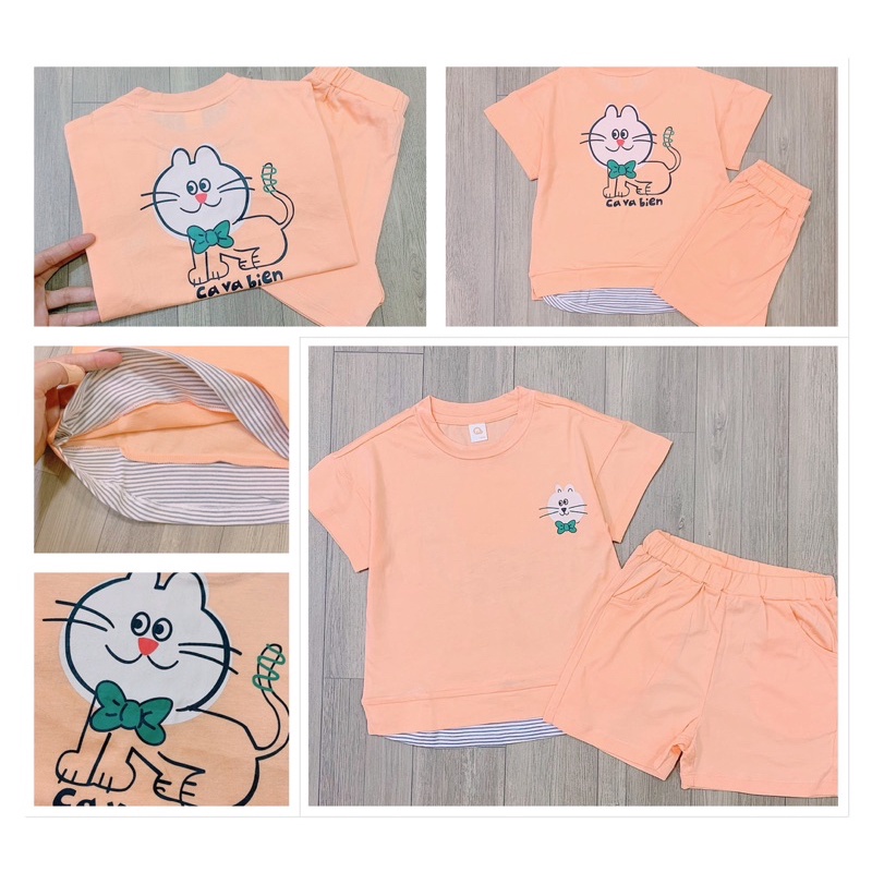 Set MilkMile xuất Hàn dư xịn hoạ tiết “mèo con” cho bé trai/ bé gái