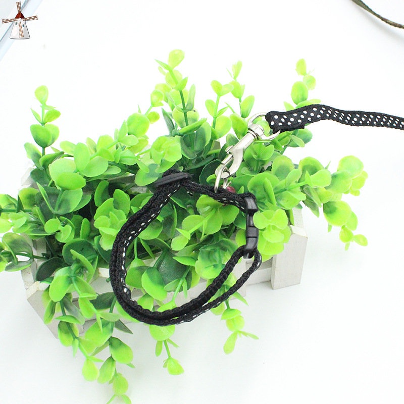 Vòng Cổ Gắn Chuông Và Dây Dắt Thú Cưng Đi Dạo 1.0