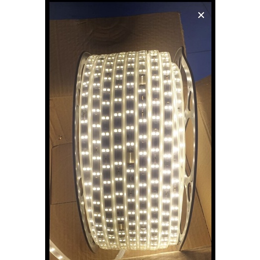 Dây Led 2 hàng bóng 2835 1 màu 1 cuộn 100m dán hắt trần thạch cao, trang trí cây.. ánh sáng vàng nắng, xanh lá…