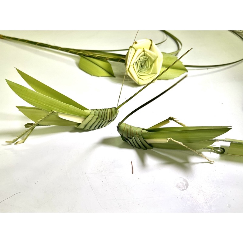 Lá Dừa Non Làm Thủ Công