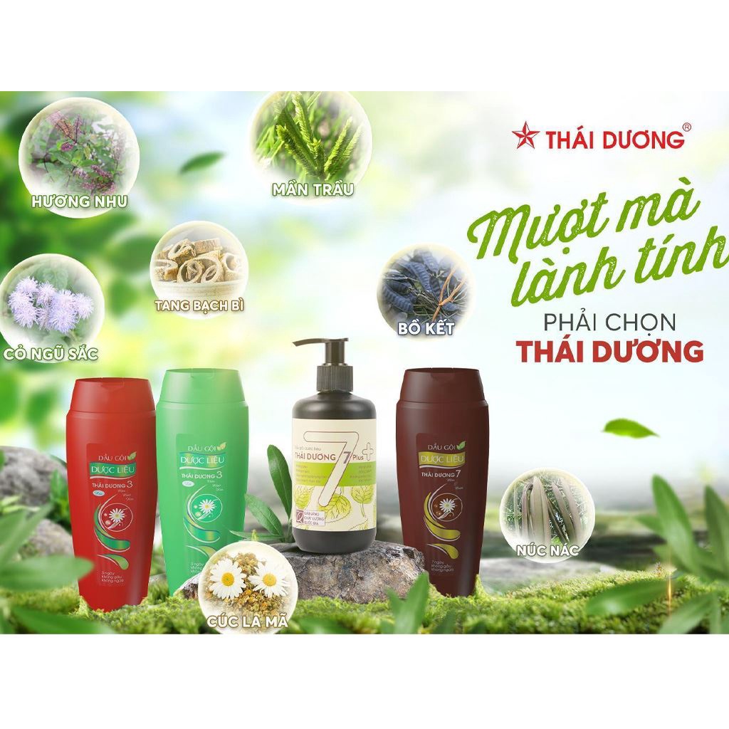 Cặp dầu gội xả dược liệu Thái Dương 3 - 3 ngày không gàu không ngứa, hỗ trợ phục hồi tóc - sản phẩm của Sao Thái Dương