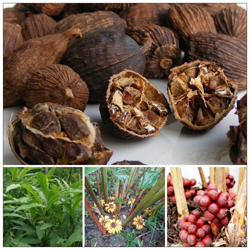 Thảo Quả Khô Tây Bắc