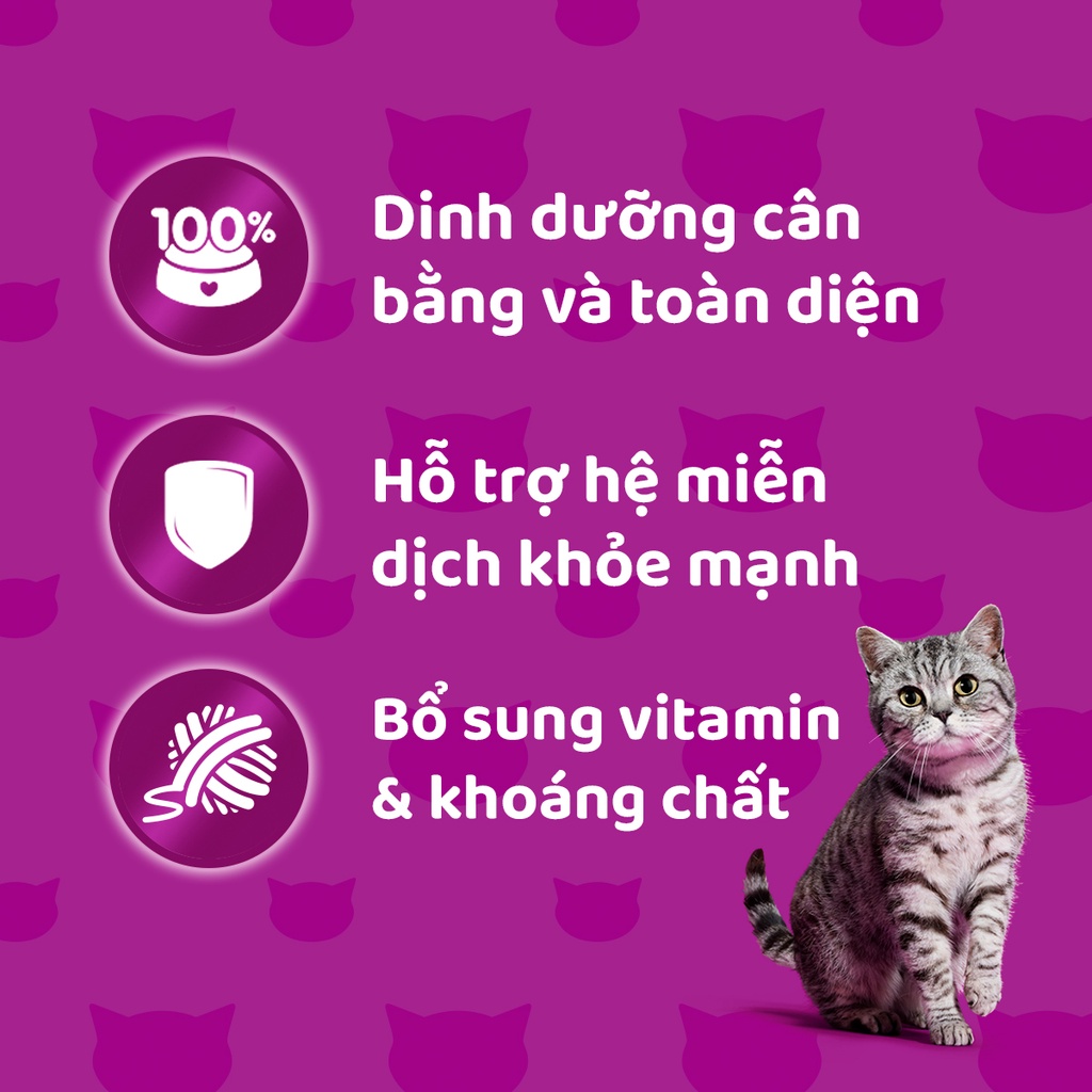 Bộ 6 Túi Thức Ăn Cho Mèo Trưởng Thành WHISKAS Dạng Sốt Vị Cá Biển, 80g