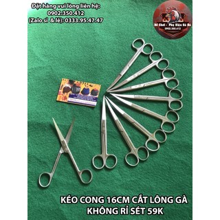 Kéo cong 16cm cắt lông gà - cắt tích gà - inox không rỉ sét