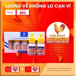Uv - bamin plus tăng nội lực - tăng cơ - tăng nước máu 1 hộp 10 lọ
