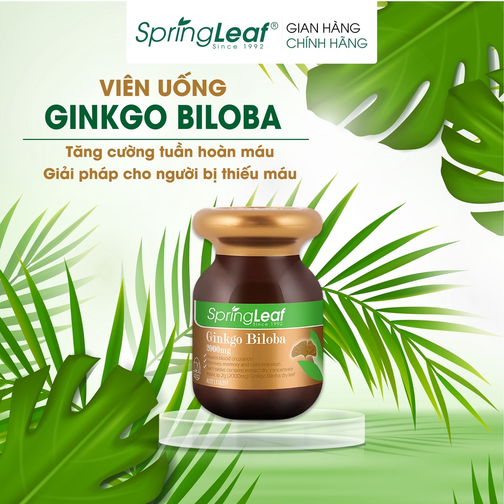 Viên uống Ginkgo Biloba Spring Leaf  2000mg hỗ trợ cải thiện tuần hoàn máu não  120 viên Úc