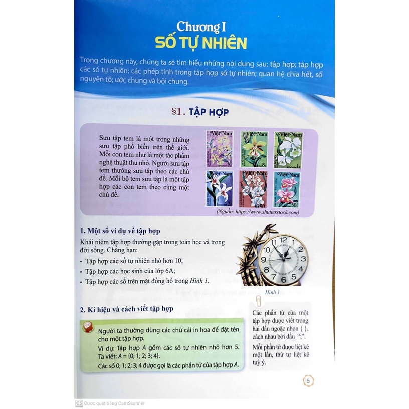 Sách - SGK Toán 6 - Cánh diều