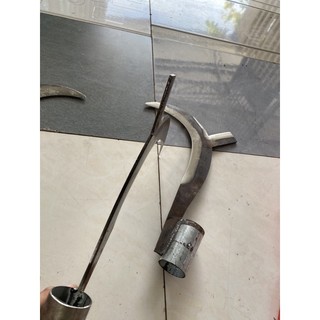cu Liêm đực dừa đực nhánh cây loại lớn