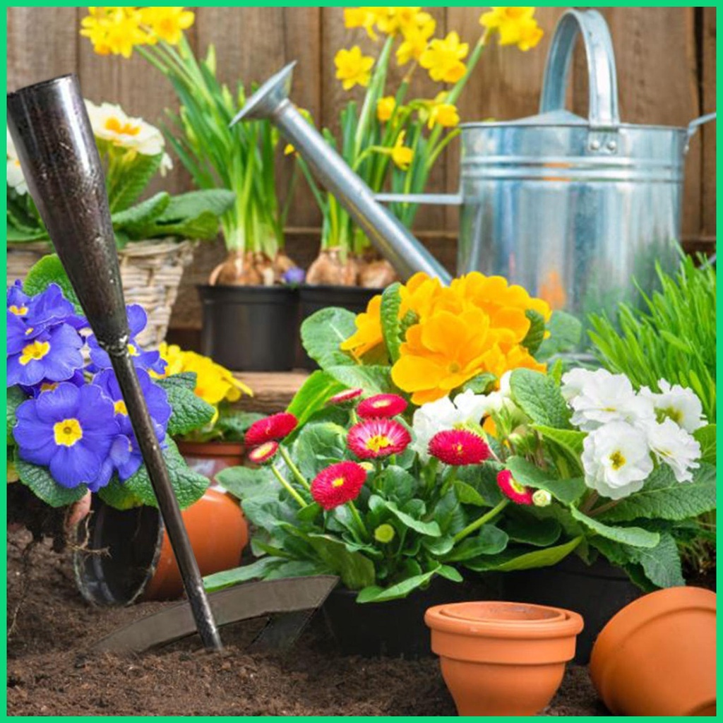 Dụng Cụ Làm Vườn Bằng Thép Cứng Khoét Rỗng Nhẹ Cho jiwvn Jwvn