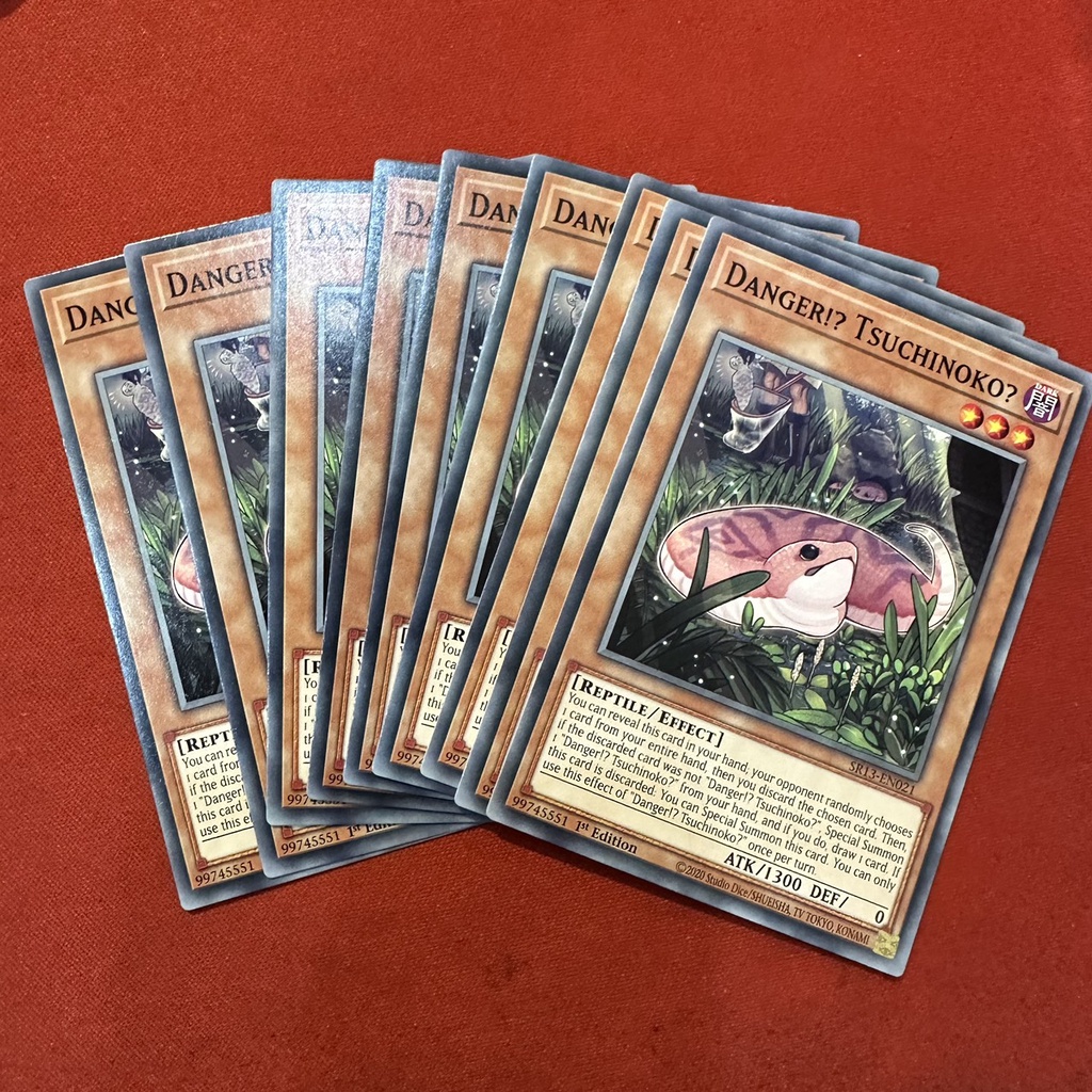 Danger!? Tsuchinoko?