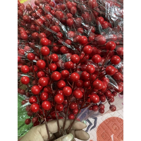Nhánh đào đông nhỏ