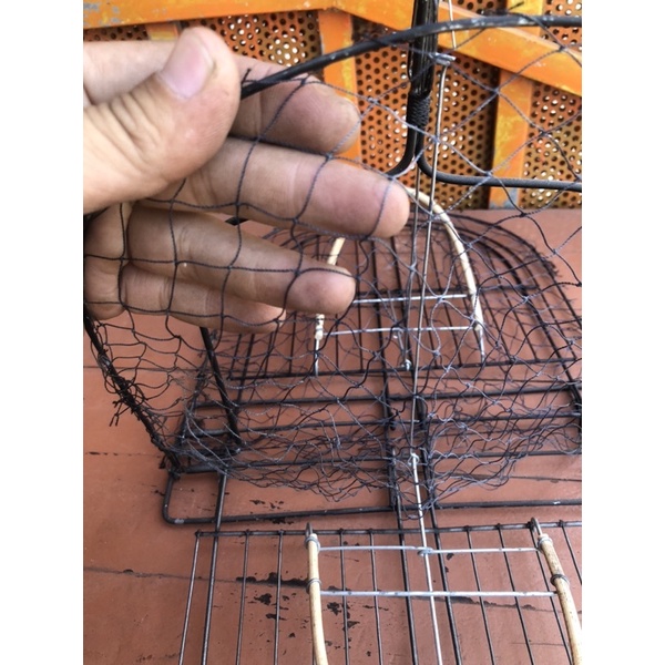 Lụp giả kẽm đen Chào mào, chích choè - mẹt bẫy chim