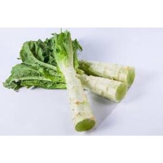Hạt giống Rau diếp thơm (diếp tây, rau tiến vua,ngó xuân)
