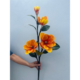 MỘC LAN ĐẠI 2 Nụ 2 Bông