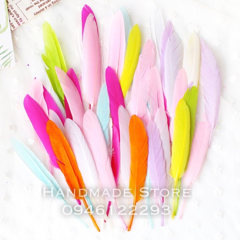 Lông vũ nhiều màu  🌈🌈🌈🌈