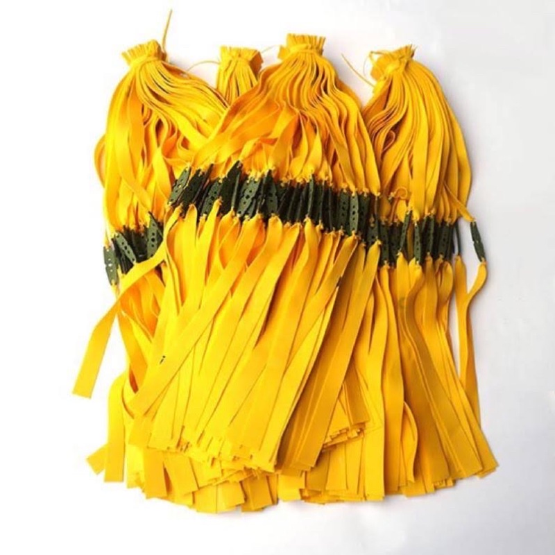 Dây latex 0,75 cao cấp dài 17cm cột sẵn da