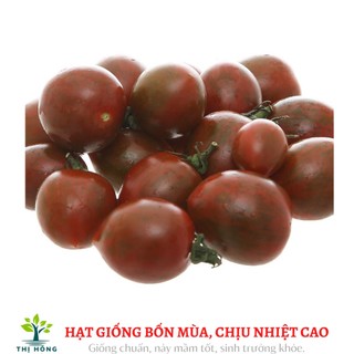 Hạt giống cà chua cherry đen 0.1g (giòn, ngọt)